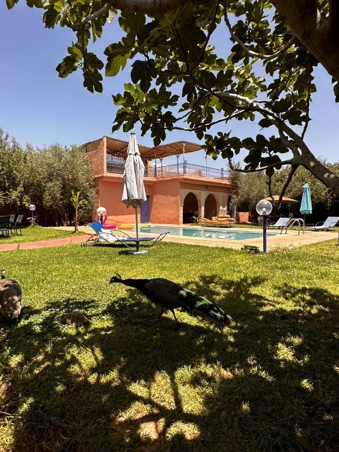 Villa Ms Holidays Mika Privatisee Marrakech Marakéš Exteriér fotografie