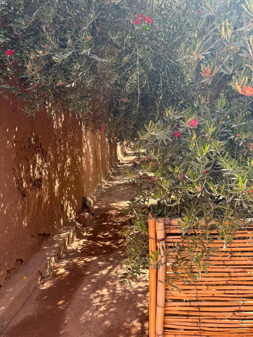 Villa Ms Holidays Mika Privatisee Marrakech Marakéš Exteriér fotografie