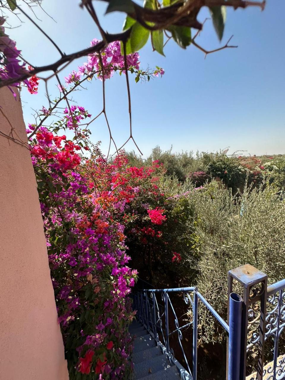 Villa Ms Holidays Mika Privatisee Marrakech Marakéš Exteriér fotografie