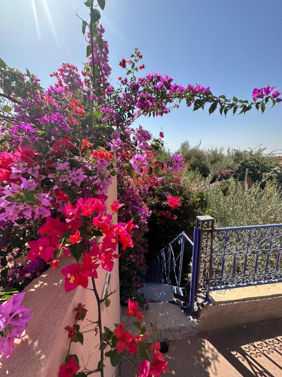 Villa Ms Holidays Mika Privatisee Marrakech Marakéš Exteriér fotografie