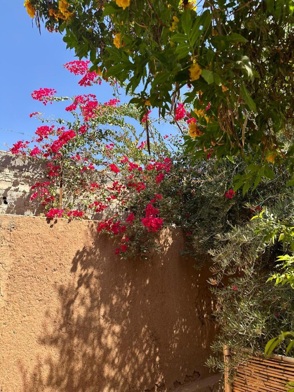 Villa Ms Holidays Mika Privatisee Marrakech Marakéš Exteriér fotografie